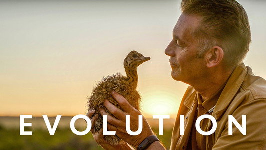Evolution