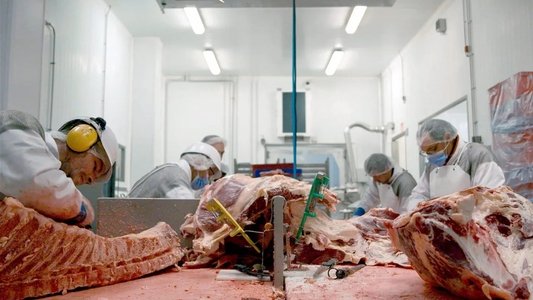 L'usine des animaux