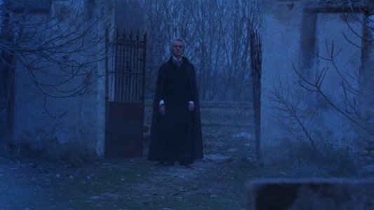 El extraño amor de los vampiros