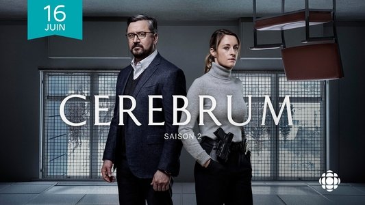 Cerebrum