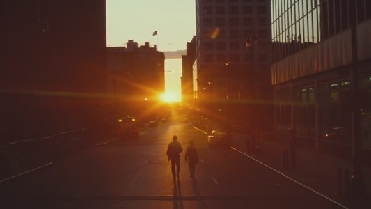 Morning Glory