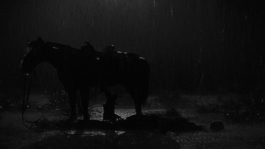 My Darling Clementine