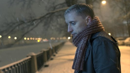 Бравист
