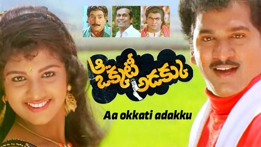 ఆ ఒక్కటీ అడక్కు