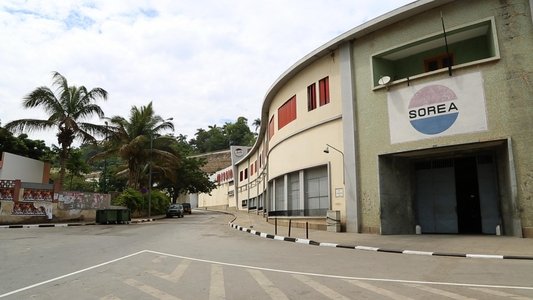 Afetos de betão – Zopo Lady
