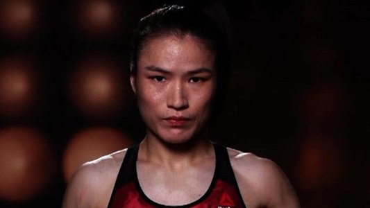我是拳手