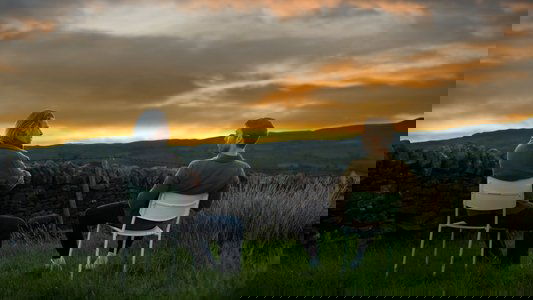 The Last Sunset