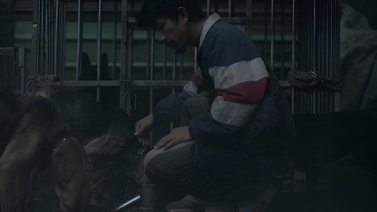 白衣蒼狗
