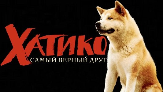 Hachi: A Dog's Tale