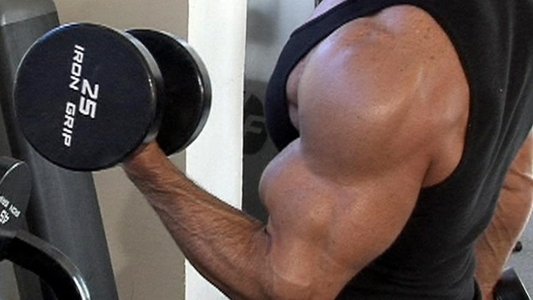 Legendary Bodies 2