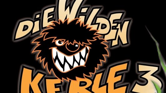 Die Wilden Kerle 3