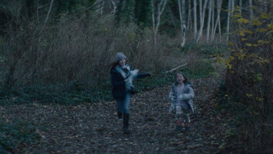 Before I Fall