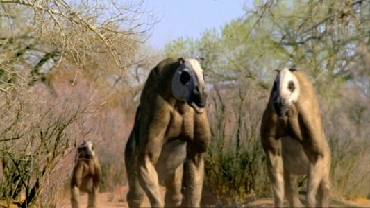 Walking with Beasts
