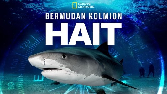 Sharks of the Bermuda Triangle