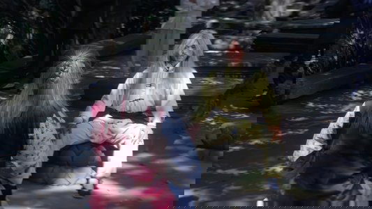 迷拳三十六招