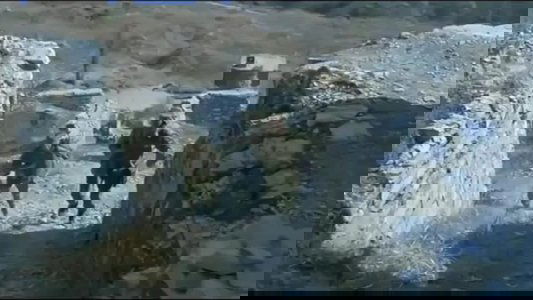 Контрольная полоса