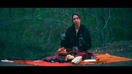 Picnic from Hell