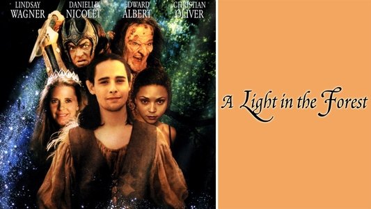 A Light in the Forest