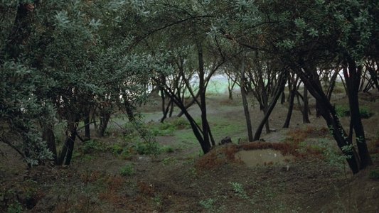 خانه‌ی دوست کجاست؟