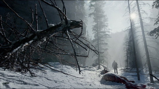 The Revenant