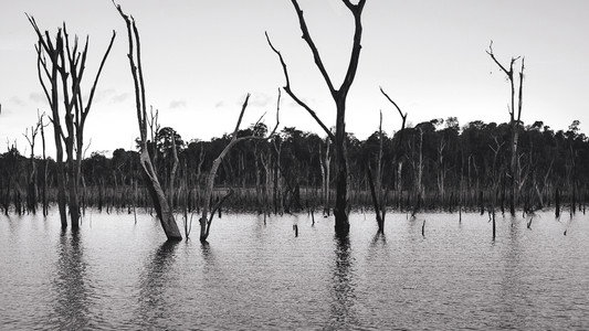 O Reflexo do Lago
