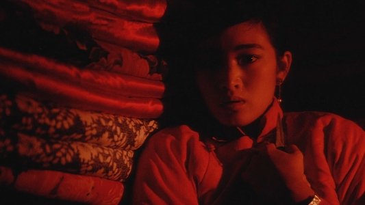 红高粱