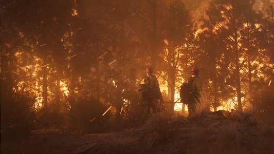Only the Brave