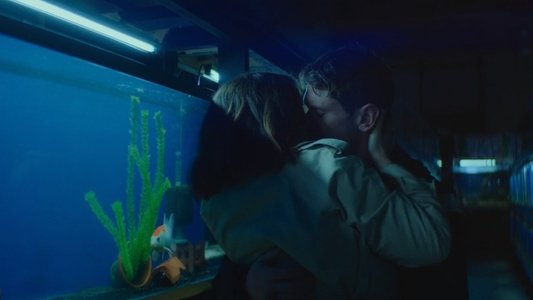 Little Fish