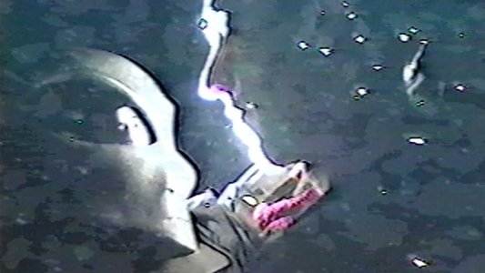 Suroh: Alien Hitchhiker