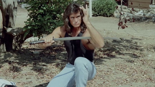 Samurai Cop
