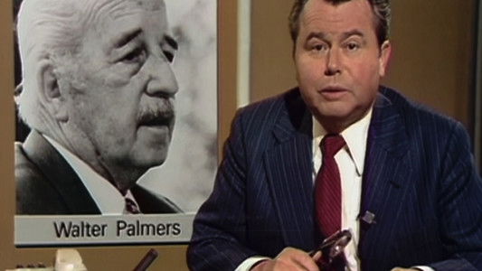 Keine Insel - Die Palmers Entführung 1977