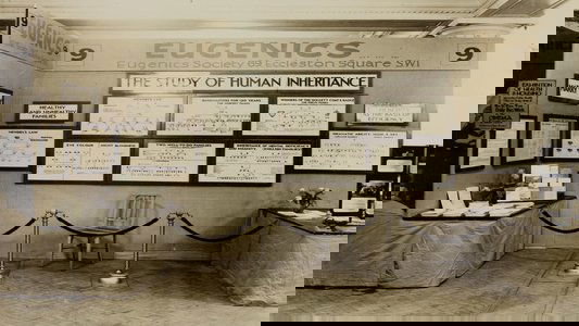 Global Eugenics: Using Medicine to Kill