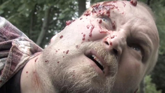 Björkpollen of the Dead