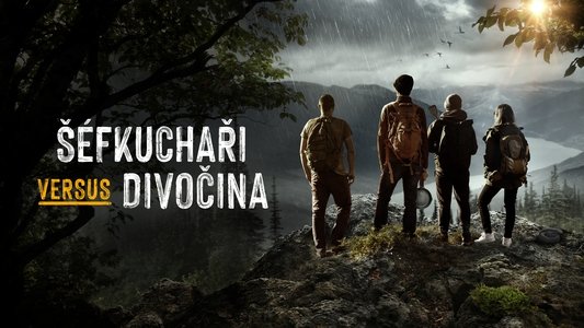 Chefs vs Wild
