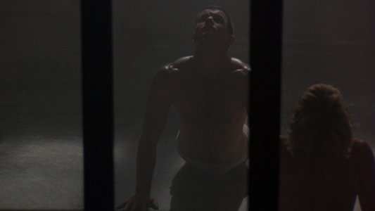 Midnight Express