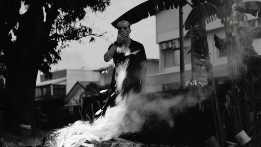 Les Cendres Du Coeur