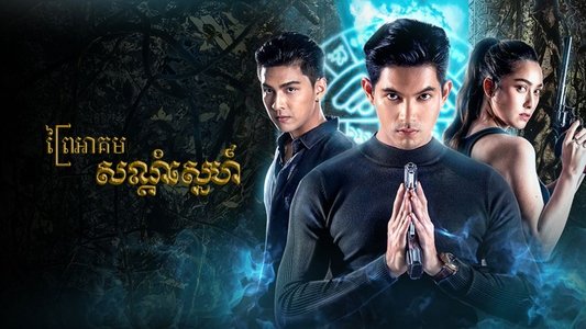 ชาติพยัคฆ์คมนักเลง