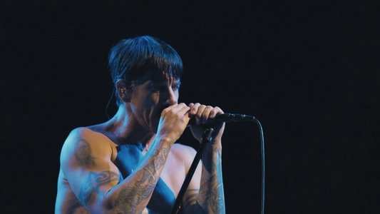 Red Hot Chili Peppers - Live at Tokyo Dome