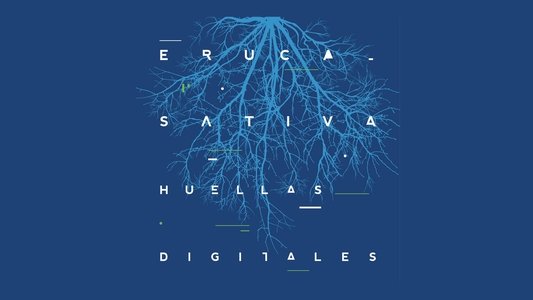 Eruca Sativa - Huellas digitales