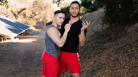 Step-Brother Affairs