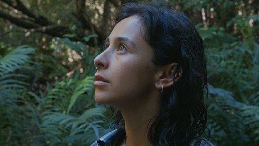 Pájaro mono