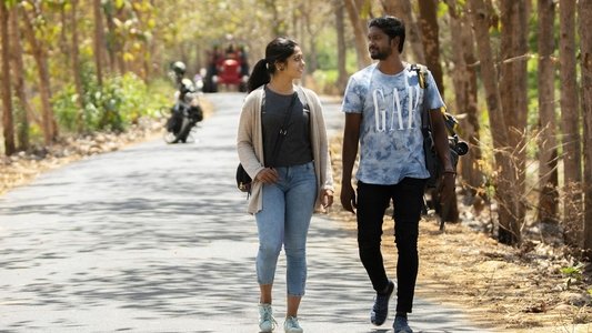 சிறகு