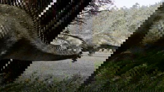 Walking with Dinosaurs