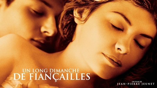 Un long dimanche de fiançailles