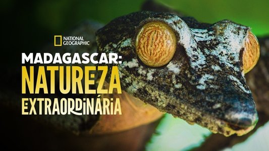Madagascar's Weirdest