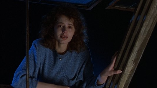 The Fly