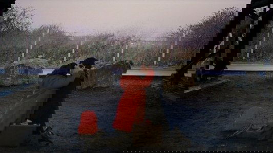 Submarine