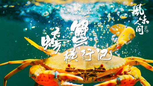 风味人间