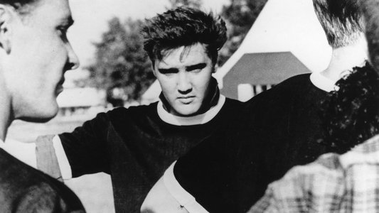 Elvis Presley: The Searcher