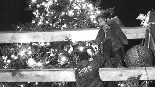 The National Christmas Tree, A Century of Celebration